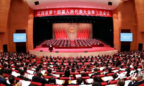 【2025江西两会】建言资政 饶商风采