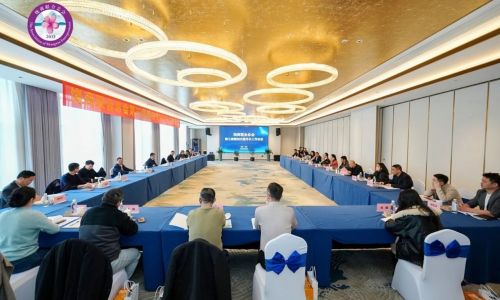 伟德官网怎么下app苹果版第三届第四次秘书长工作会议召开，杨铮、陈新出席并讲话