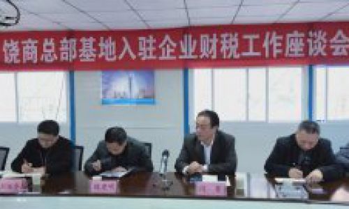 “伟德体育最新网站入驻企业财税工作座谈会”召开